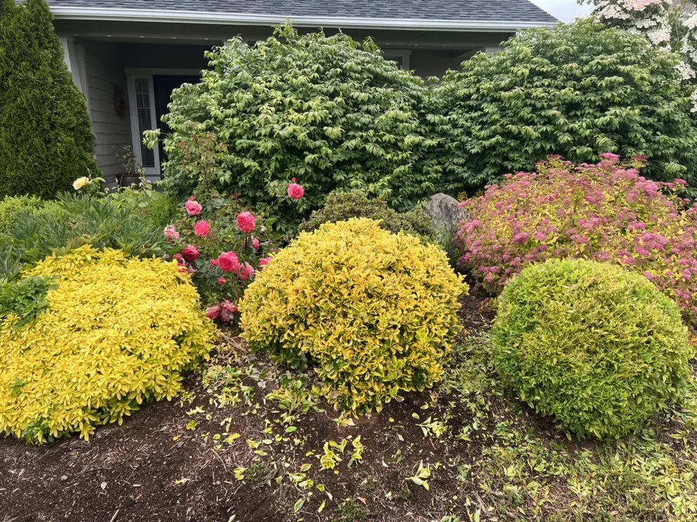 Trusted residential landscaping experts serving Snohomish, WA - Rial Landscaping