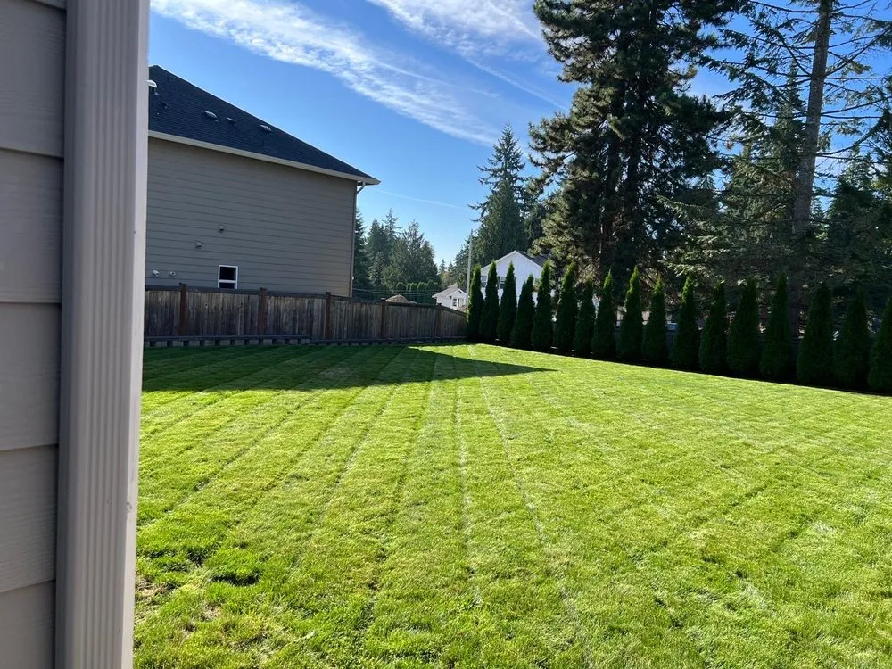 Custom yard cleanup service for residential properties in Snohomish, WA by Rial Landscaping