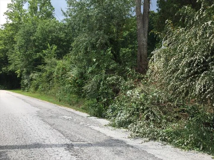 Reliable yard maintenance for homes in Martinsville, IN by Ribley's Property Maintenance