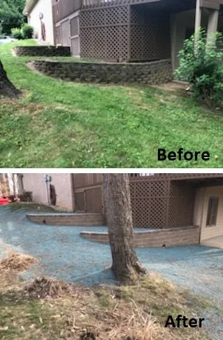 Local yard cleanup service experts serving Martinsville, IN - Ribley's Property Maintenance