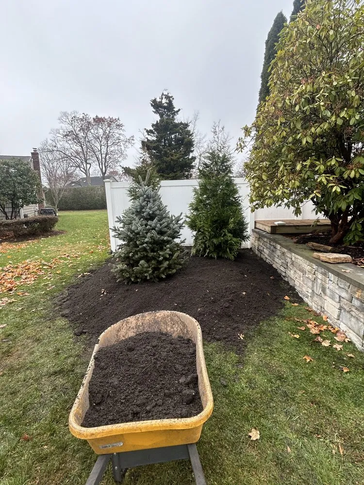 Top-rated yard cleanup service in Selden, NY by Ricardo & Son Landscaping Cor