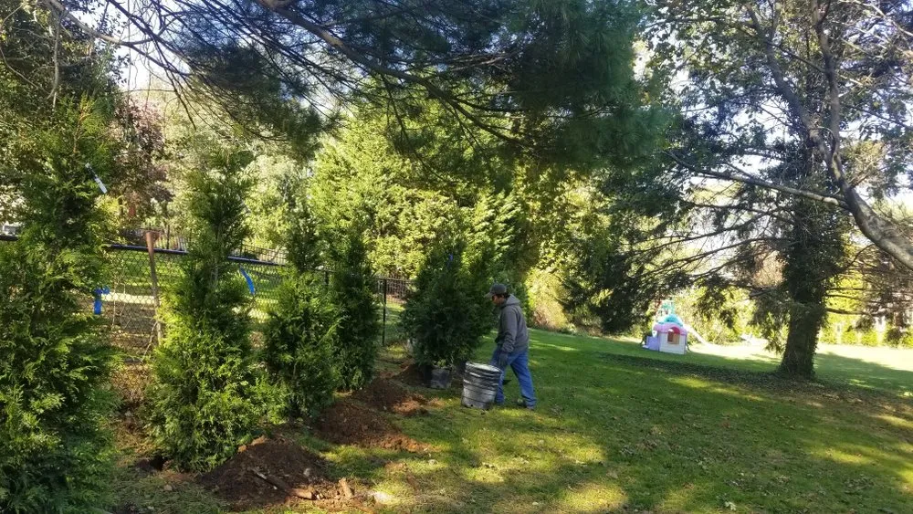 Trusted residential landscaping for residential properties across Selden, NY - Ricardo & Son Landscaping Cor