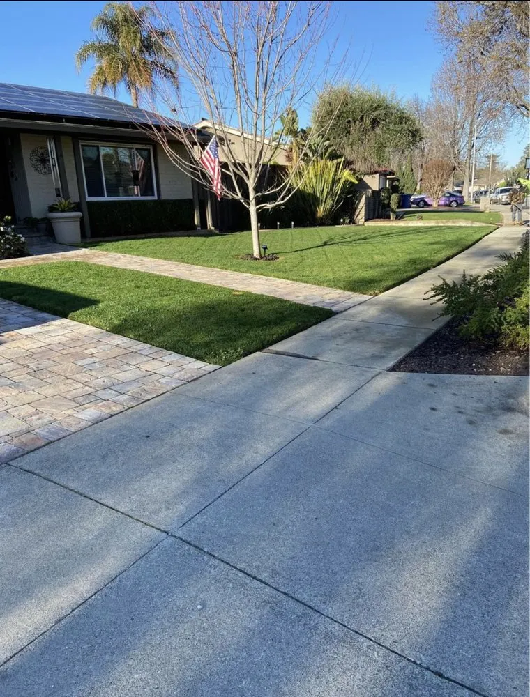 Reliable landscape design in Paramount, CA - Ricardo Jimenez
