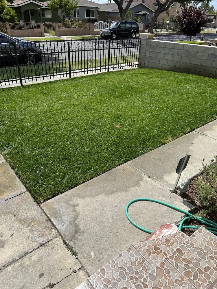 Custom yard maintenance in Paramount, CA by Ricardo Jimenez