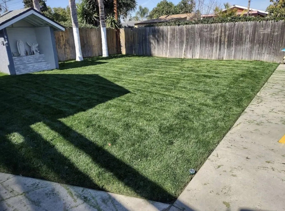 Affordable lawn mowing service for year-round maintenance in Paramount, CA by Ricardo Jimenez