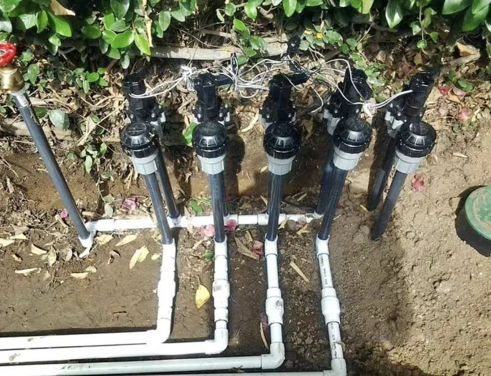 Top-rated garden landscaping for outdoor upgrades across Paramount, CA - Ricardo Jimenez