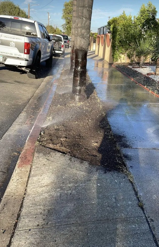 Top-rated garden landscaping experts serving Paramount, CA - Ricardo Jimenez