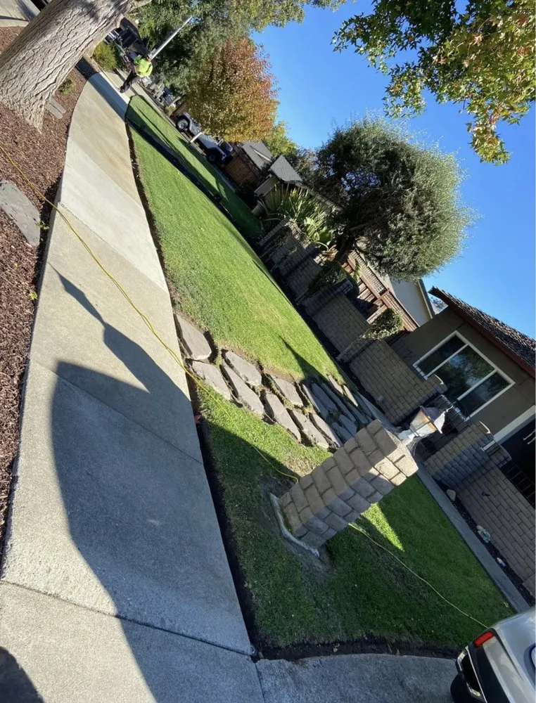 Local landscaping services in Paramount, CA by Ricardo Jimenez
