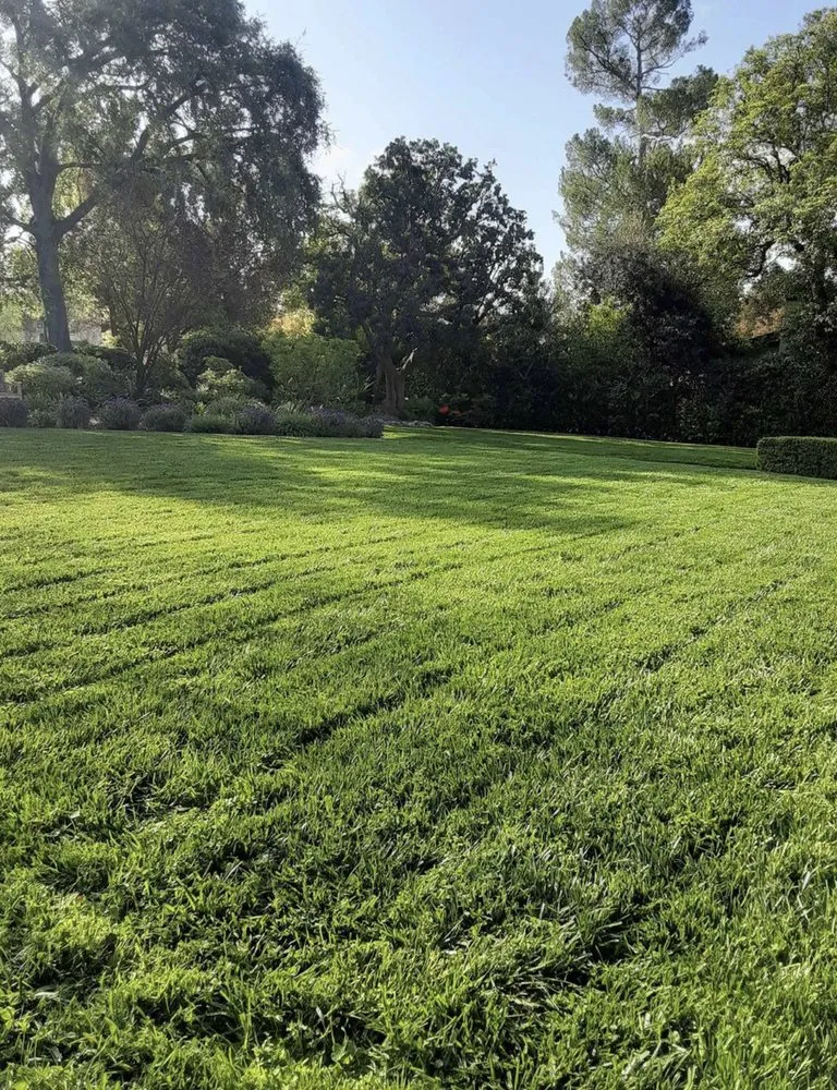 Professional landscaping services in Paramount, CA by Ricardo Jimenez