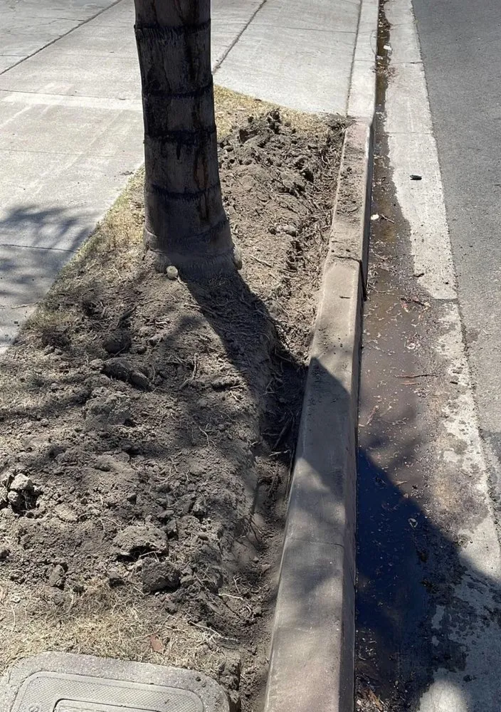 Affordable landscape installation in Paramount, CA - Ricardo Jimenez