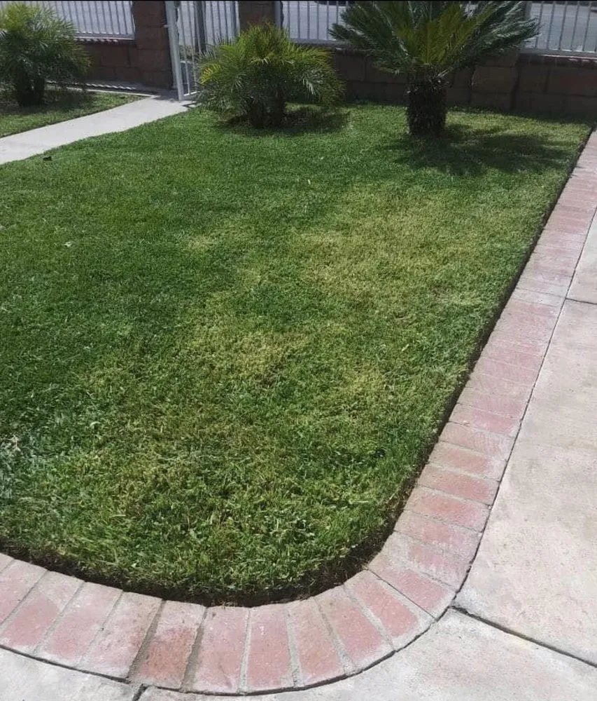 Top-rated landscape design for year-round maintenance across Paramount, CA - Ricardo Jimenez