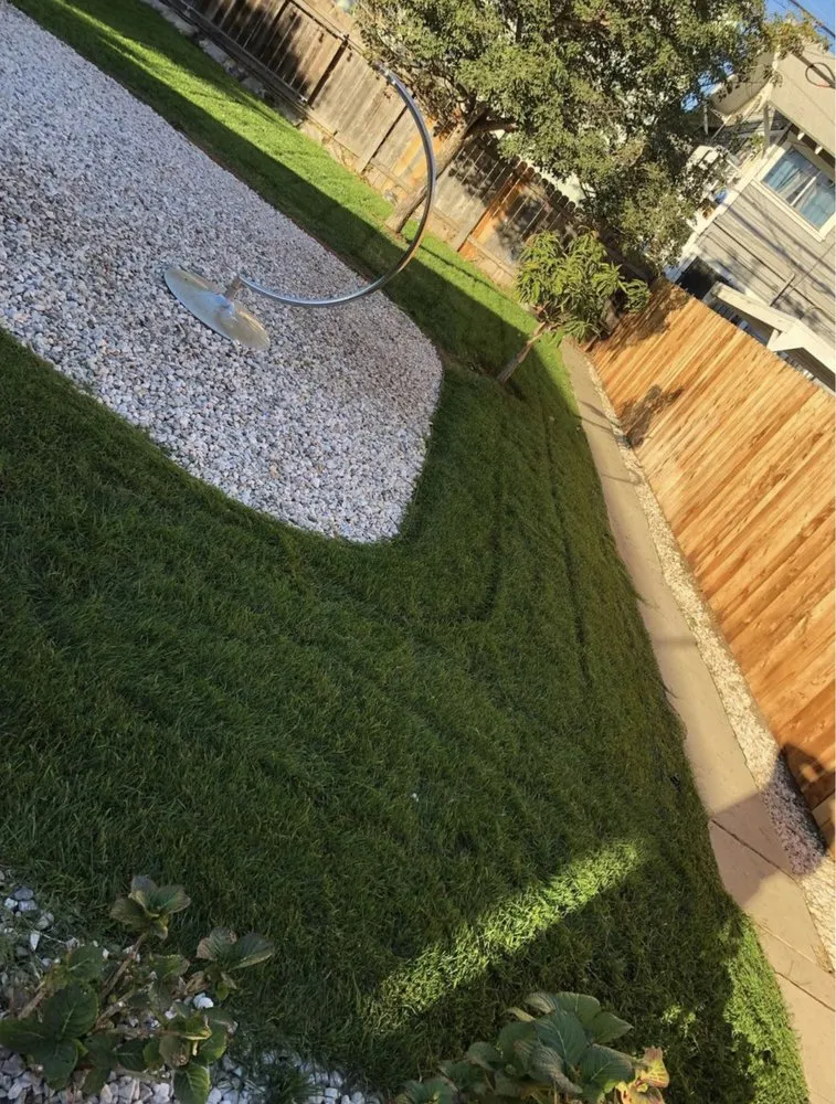 Affordable landscape installation in Paramount, CA - Ricardo Jimenez