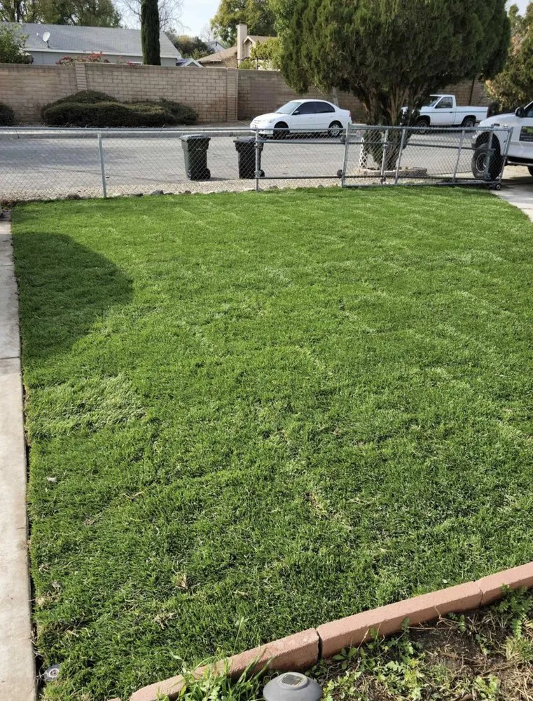 Affordable landscape installation in Paramount, CA - Ricardo Jimenez