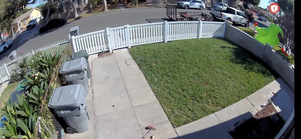 Local yard cleanup service near you in Paramount, CA by Ricardo Jimenez