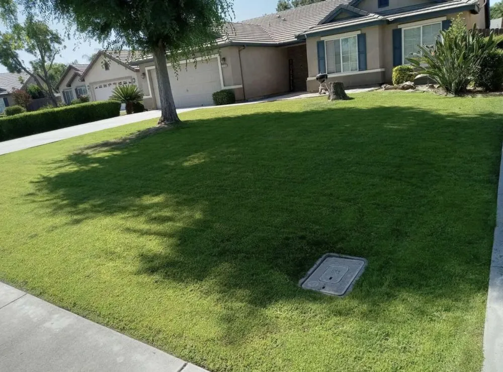 Custom landscaping services for year-round maintenance in Paramount, CA by Ricardo Jimenez