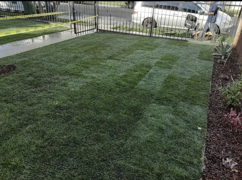 Expert yard cleanup service in Paramount, CA by Ricardo Jimenez