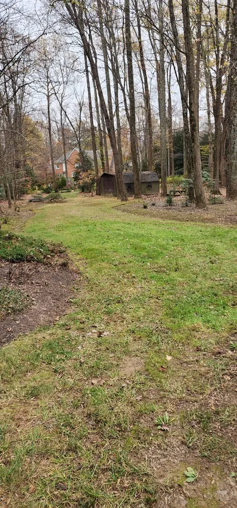 Professional landscape design in Fairfax, VA by Ricardo Mowing Services