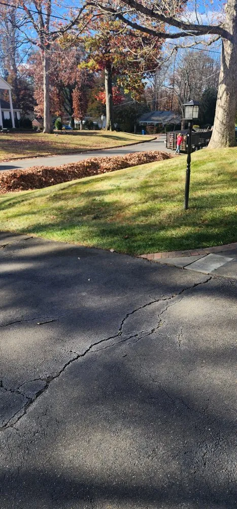 Local residential landscaping for beautiful yards across Fairfax, VA - Ricardo Mowing Services