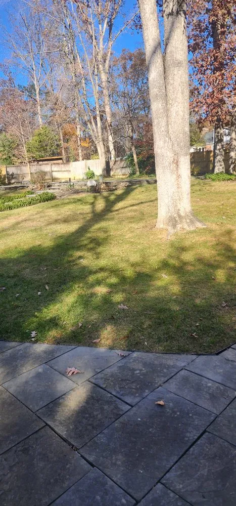 Custom landscape design in Fairfax, VA by Ricardo Mowing Services
