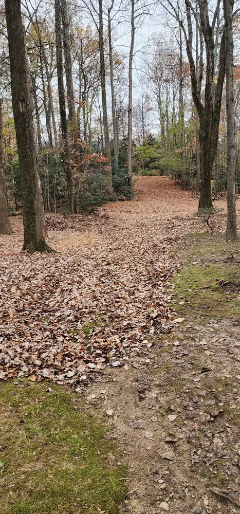 Reliable landscape installation for residential properties across Fairfax, VA - Ricardo Mowing Services