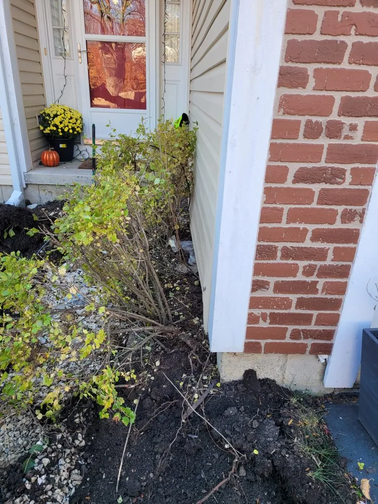 Custom yard cleanup service in Crest Hill, IL - Ricardo Quiroz Landscaping