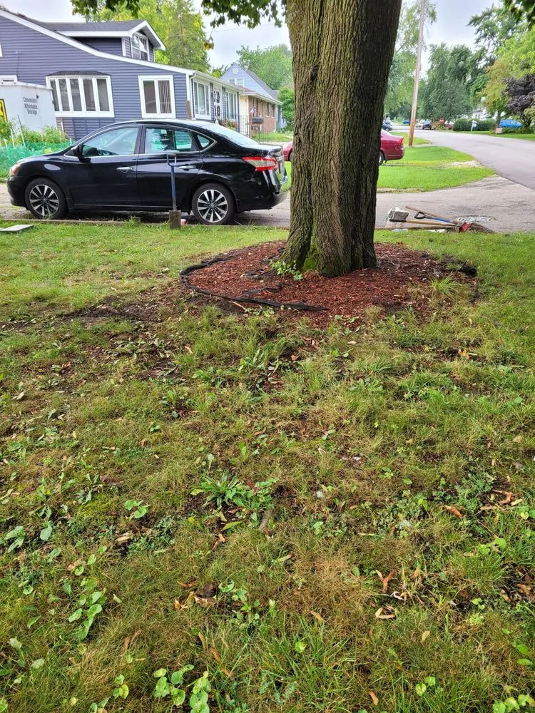Affordable yard cleanup service in Crest Hill, IL by Ricardo Quiroz Landscaping