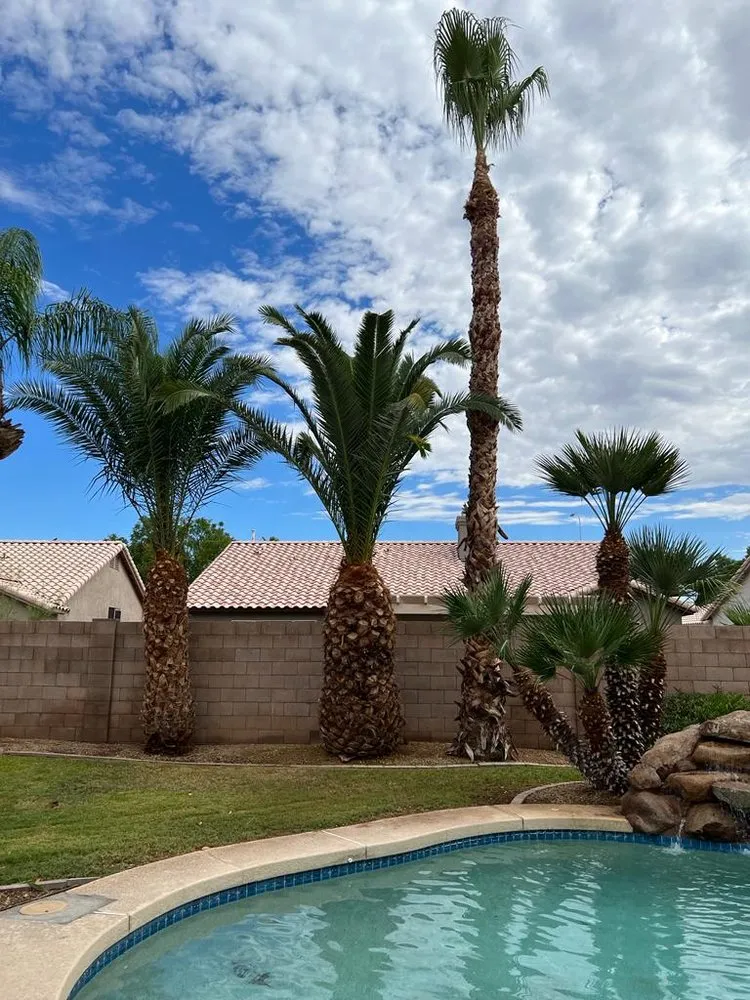 Local garden landscaping in Mesa, AZ - Ricardo Sanchez