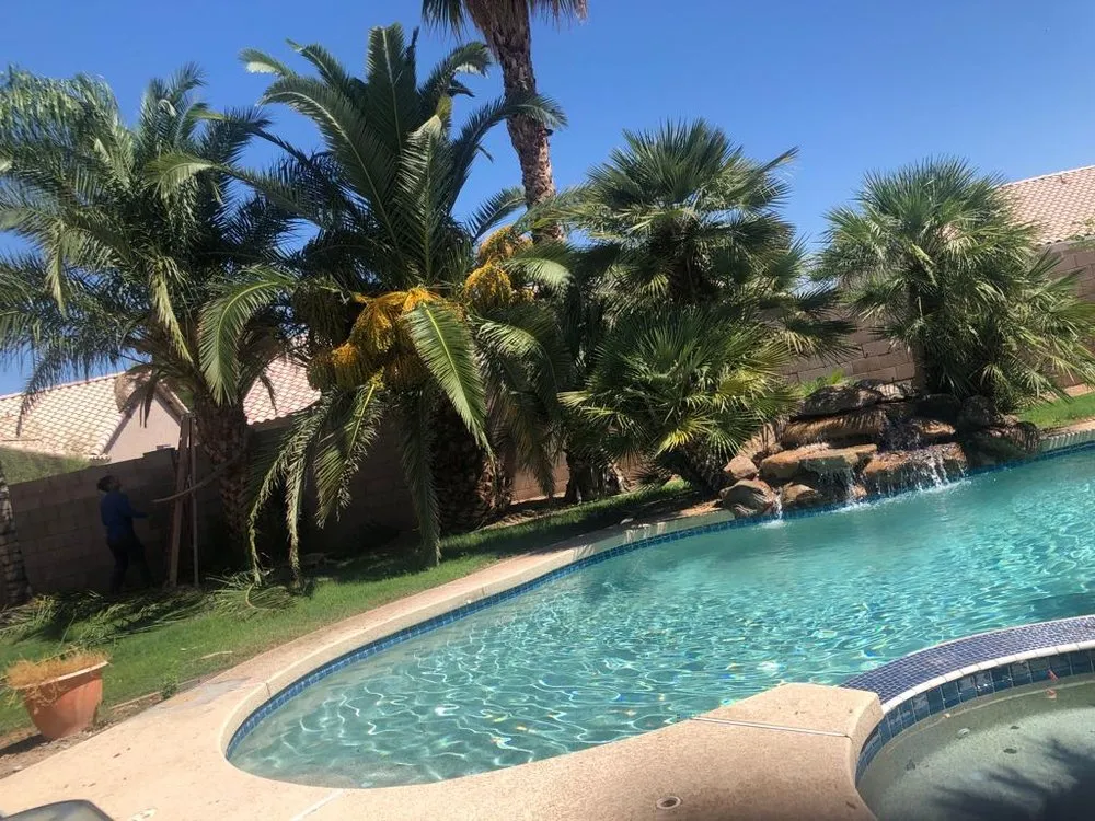 Reliable landscape design in Mesa, AZ - Ricardo Sanchez