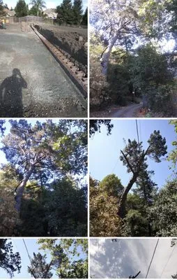 Ricardo To The Rescue Landscaping Logo