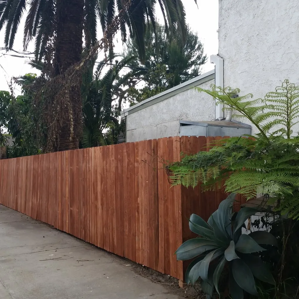 Affordable yard maintenance in Paramount, CA by Ricardo Torres Landscaping
