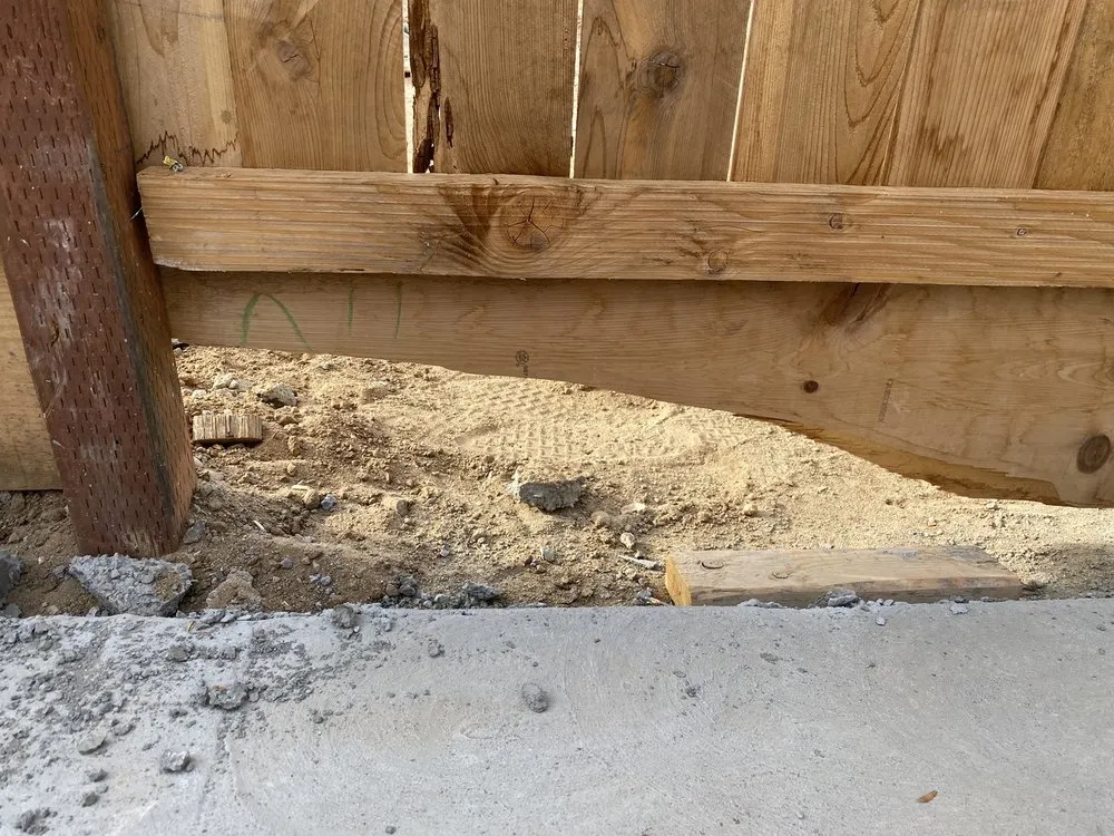 Trusted yard cleanup service in Fresno, CA - Ricardo's Concrete