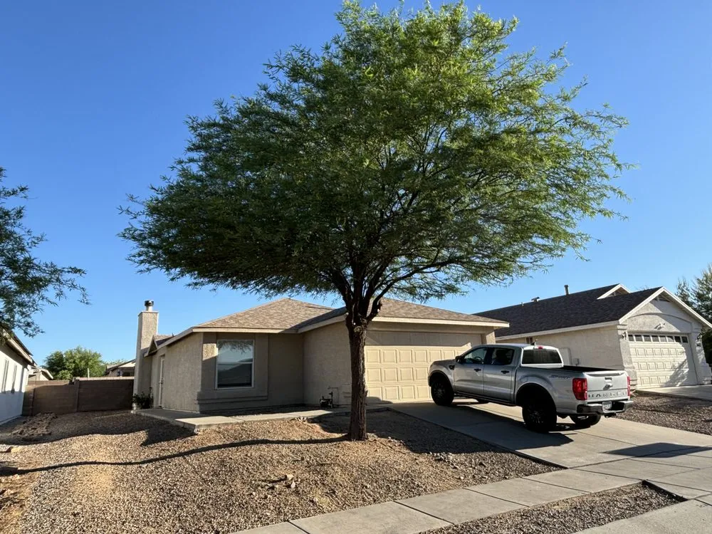 Trusted yard cleanup service for outdoor upgrades across Tucson, AZ - Ricardo’s Landscape Services