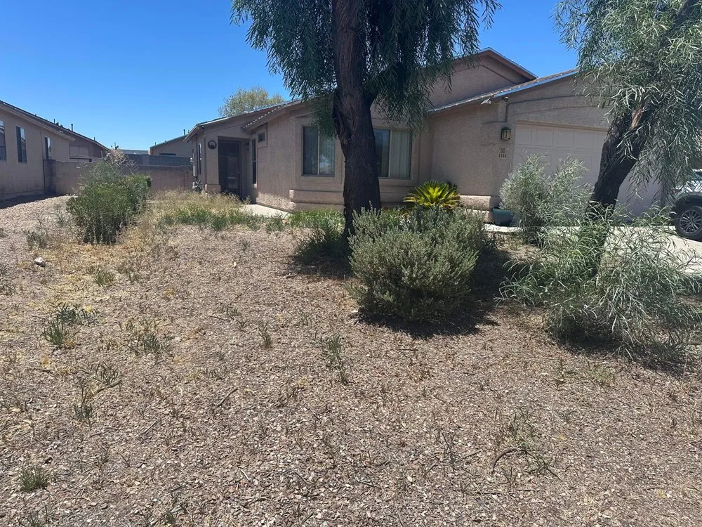Affordable yard maintenance for beautiful yards across Tucson, AZ - Ricardo’s Landscape Services