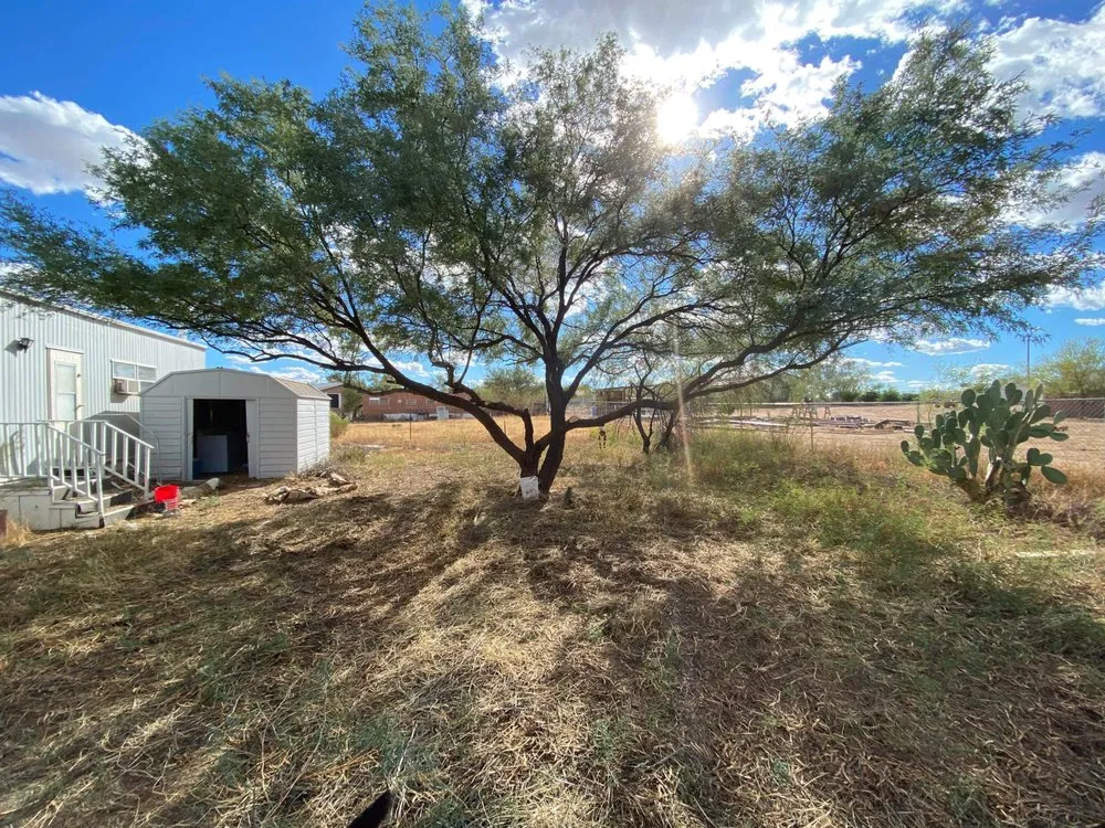 Trusted garden landscaping for year-round maintenance in Tucson, AZ by Ricardo’s Landscape Services