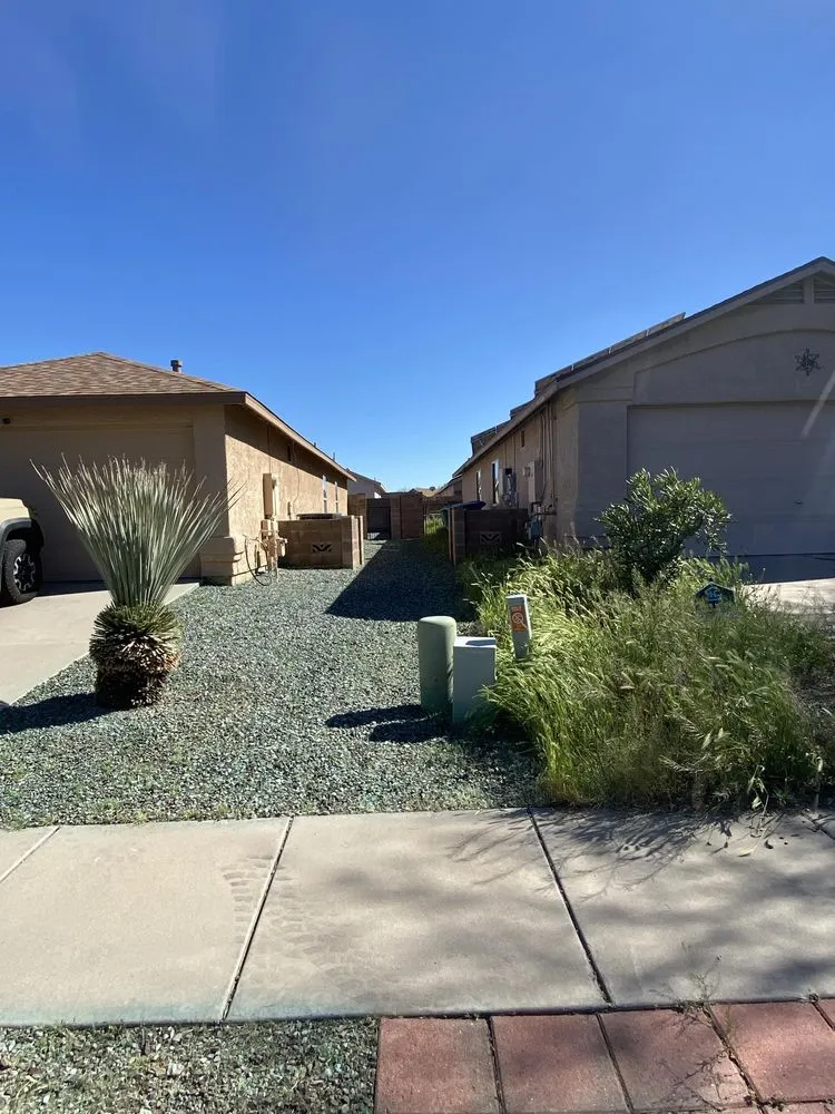 Top-rated landscape design experts serving Tucson, AZ - Ricardo’s Landscape Services