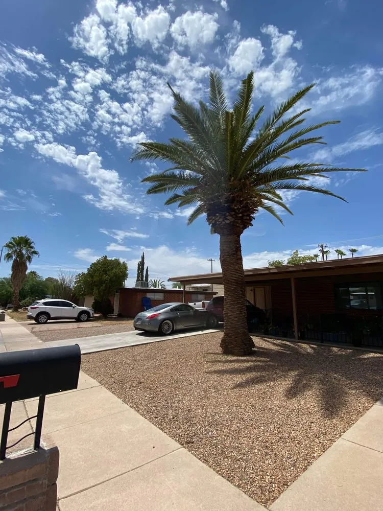 Trusted landscape installation experts serving Tucson, AZ - Ricardo’s Landscape Services