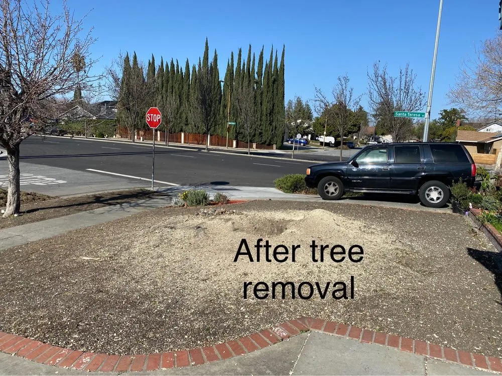 Reliable yard maintenance with custom design across Gilroy, CA - Ricardo's Landscaping