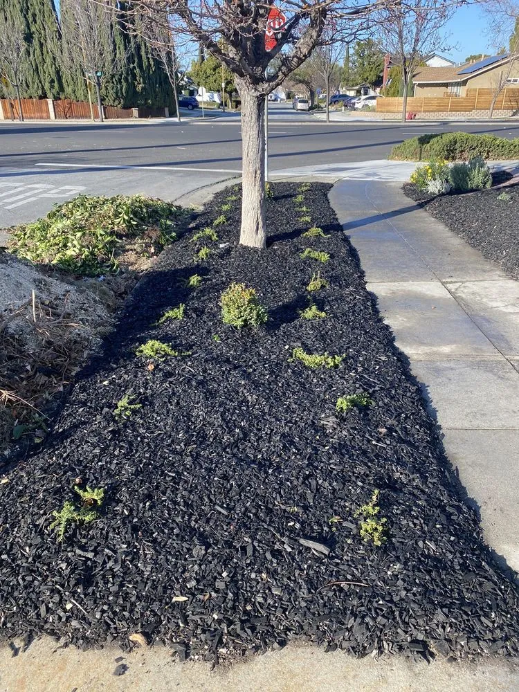 Custom landscape design for outdoor upgrades in Gilroy, CA by Ricardo's Landscaping