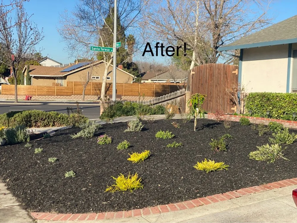 Top-rated lawn mowing service in Gilroy, CA by Ricardo's Landscaping