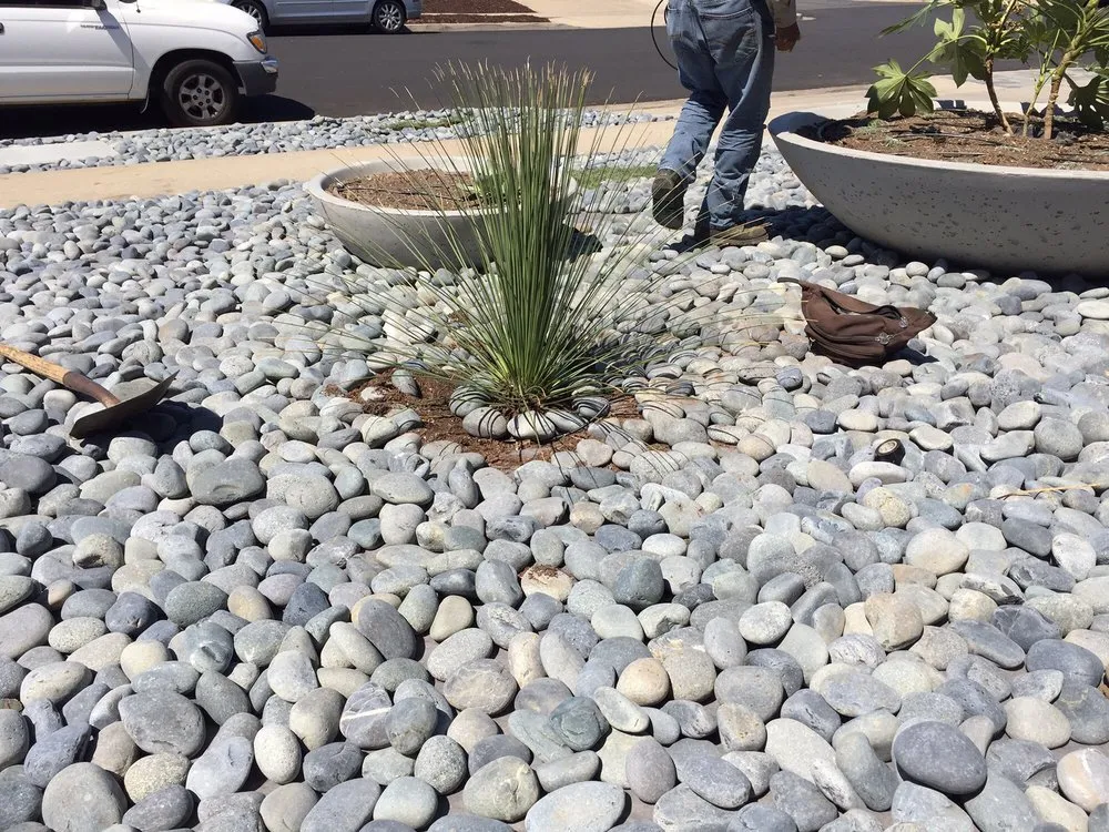 Professional landscape design with custom design in San Diego, CA by Ricardo's Landscaping