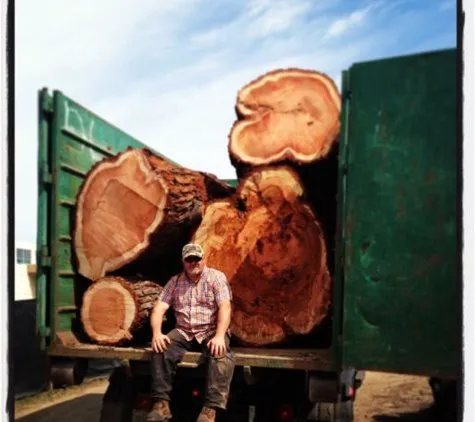 Professional landscape design for homes across Santa Cruz, CA - Riccabona's Landscape & Tree Service