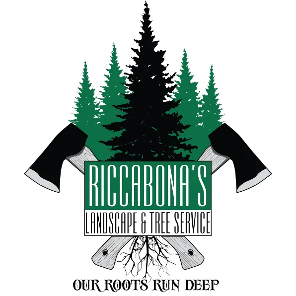 Professional garden landscaping in Santa Cruz, CA - Riccabona's Landscape & Tree Service