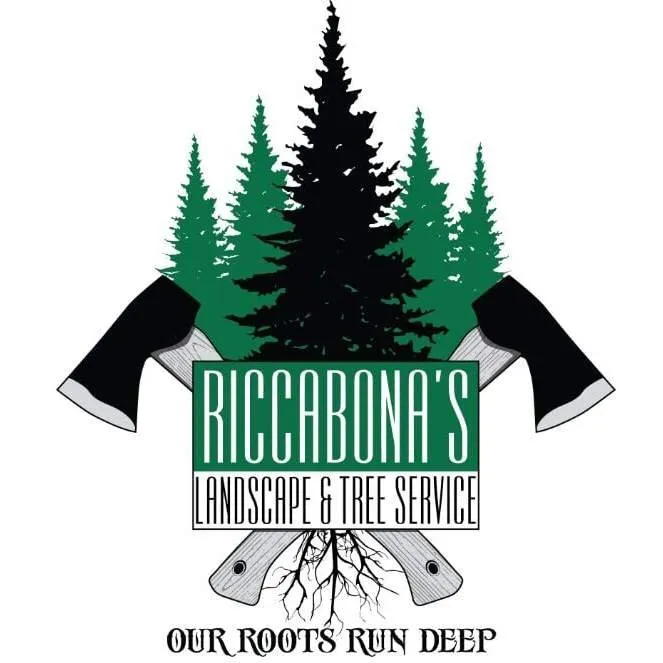 Affordable landscape installation with custom design across Santa Cruz, CA - Riccabona's Landscape & Tree Service