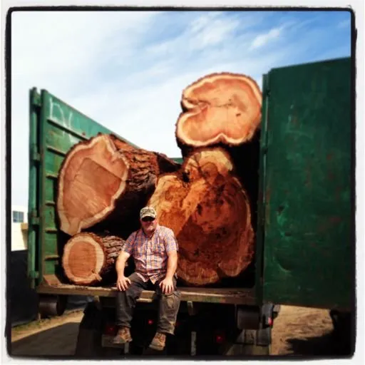 Reliable landscaping services in Santa Cruz, CA - Riccabona's Landscape & Tree Service