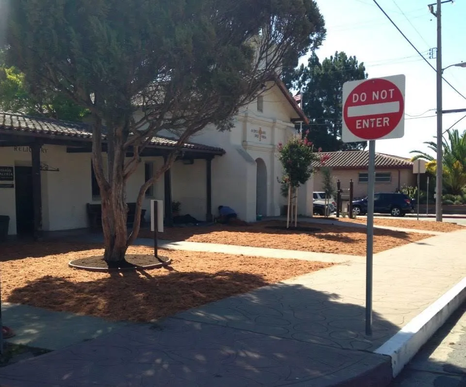 Custom outdoor landscaping in Santa Cruz, CA - Riccabona's Landscape & Tree Service