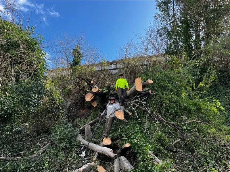 Expert lawn mowing service experts serving Santa Cruz, CA - Riccabona's Landscape & Tree Service