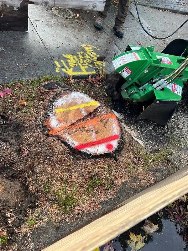 Trusted residential landscaping in Santa Cruz, CA by Riccabona's Landscape & Tree Service