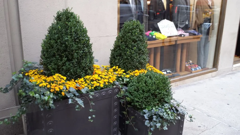 Top-rated lawn mowing service for homes across Bronxville, NY - Riccardi Landscape Design