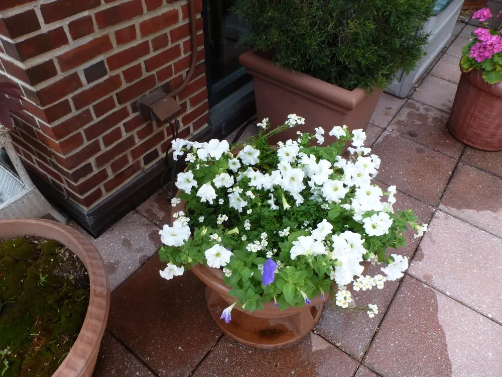 Expert garden landscaping in Bronxville, NY - Riccardi Landscape Design