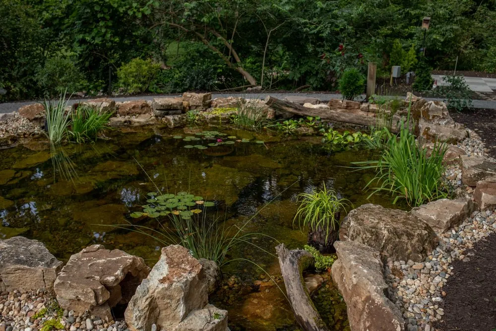 Professional landscaping services for year-round maintenance in Hebron, IN by Ricci's Landscape Management